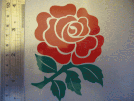 English Rose